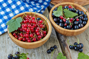 Red and black currant in bowls