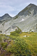 Panorama of Dzhangal and momin dvor peaks, Pirin Mountain, bulgaria
