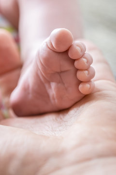 Innocent life -  tiny baby foot in the palm of male hand
