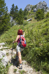 Pretty middle aged woman hiker pointing the direction on the mountain peak with her walking pole, selective focus on lady