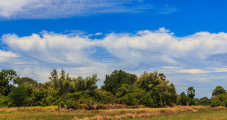 Fototapeta premium Sky background with the fluffy white clouds