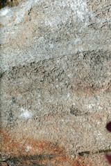 garden tools rake shovel