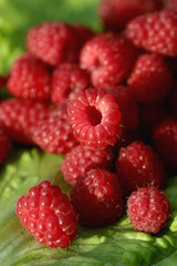 raspberry on a green leaf
