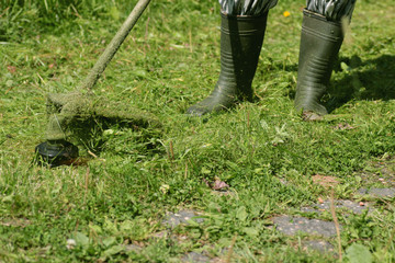 man mows the grass trimmer