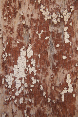 Paredes en la Habana