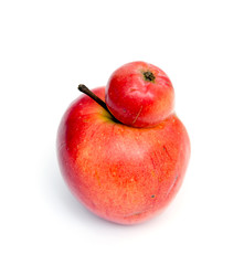 Red double Conjoined apple on white background