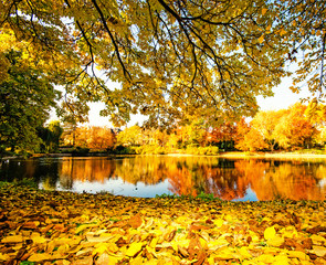 Wonderful day in  autumn at a silent like :)