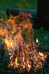 flames of fire burning bush