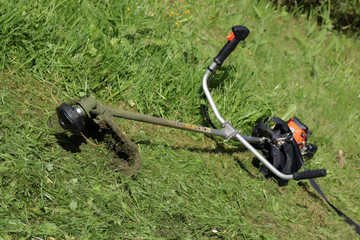 mows the grass trimmer