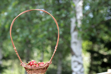 Strawberry in a basket on nature