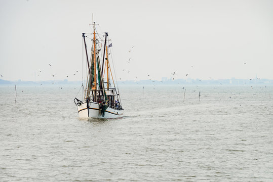 Fototapeta North Sea shrimp boats
