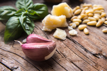 A close up of pesto ingredients