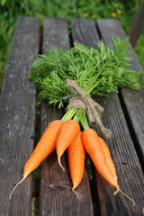 fresh crop of carrots tie beam