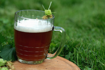 mug of beer hops ears