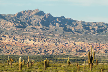 Los Cardones national park, Argentina