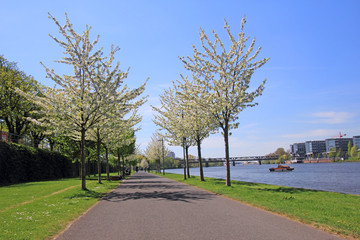 frankfurt am main deutschland 