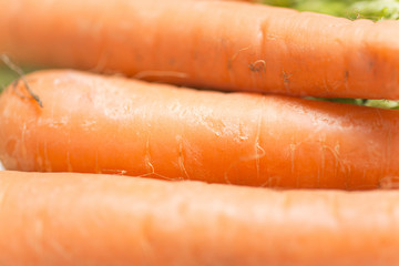Selections of raw fresh organic carrots on a light wooden work surface