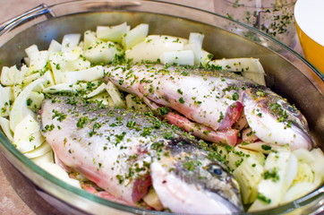 flavor sea bream using fennel as dressing