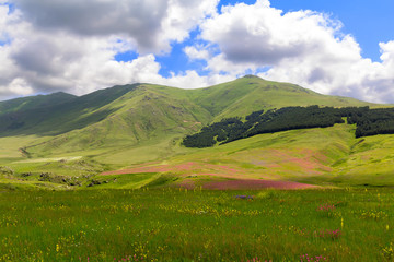 Caucasian mountains on a sunny summer day