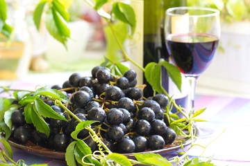 Red grapes and wine