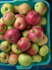 Apple basket