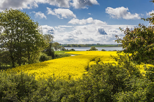 Schlei Bei Lindaunis