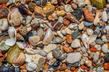 assorted seashells and pebbles texture background