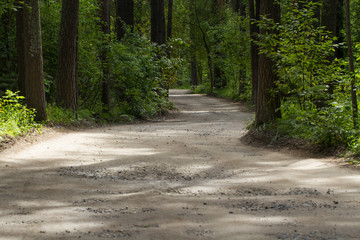 forest road