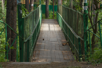 bridge over a ravine in the forest