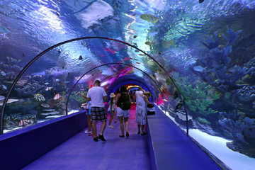 Obraz premium Ludziom podoba się podwodny widok na akwarium Antalya. Akwarium to najdłuższy na świecie panoramiczny tunel o długości 131 metrów