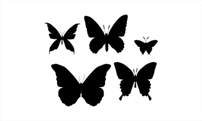This Is butterfly Vector