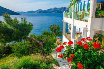 Garden and terrace of Greek house with red flowers