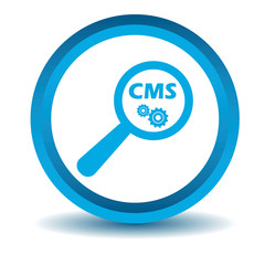 CMS search icon, blue, 3D