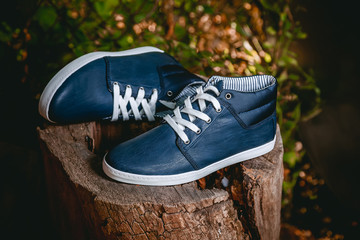 Men's shoes, sneakers on nature