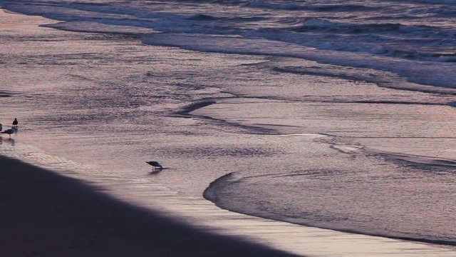 Sunset at the North Sea beach in Blankenberge, Belgium