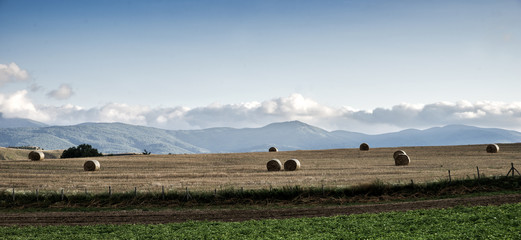 Balle di fieno, paesaggio silano