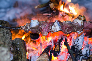 Skewers of beef, pork cooked on a campfire