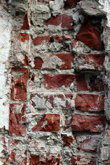 brick wall with whitewash