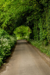 Fototapeta premium drewniany tunel