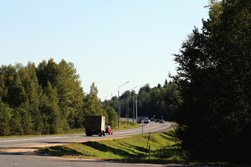 road route marking trees