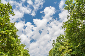 Obraz premium Views of the sky and clouds