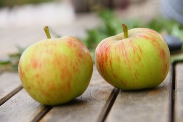 Apfel Obst Frucht