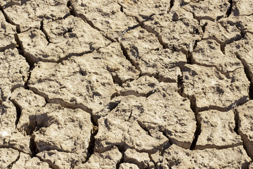 Cracked ground by the drought