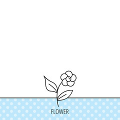 Flower with petals icon. Plant and leaves sign.