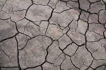 Dry cracked ground