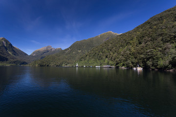 Fototapeta premium Doubtful Sound
