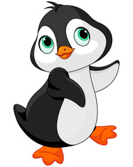 Obraz premium Baby Penguin