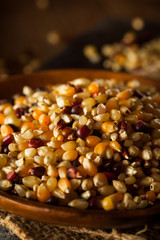 Raw Organic Multi Colored Calico Popcorn