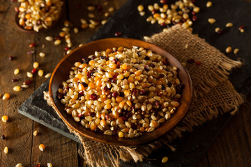 Raw Organic Multi Colored Calico Popcorn