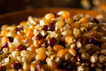 Raw Organic Multi Colored Calico Popcorn